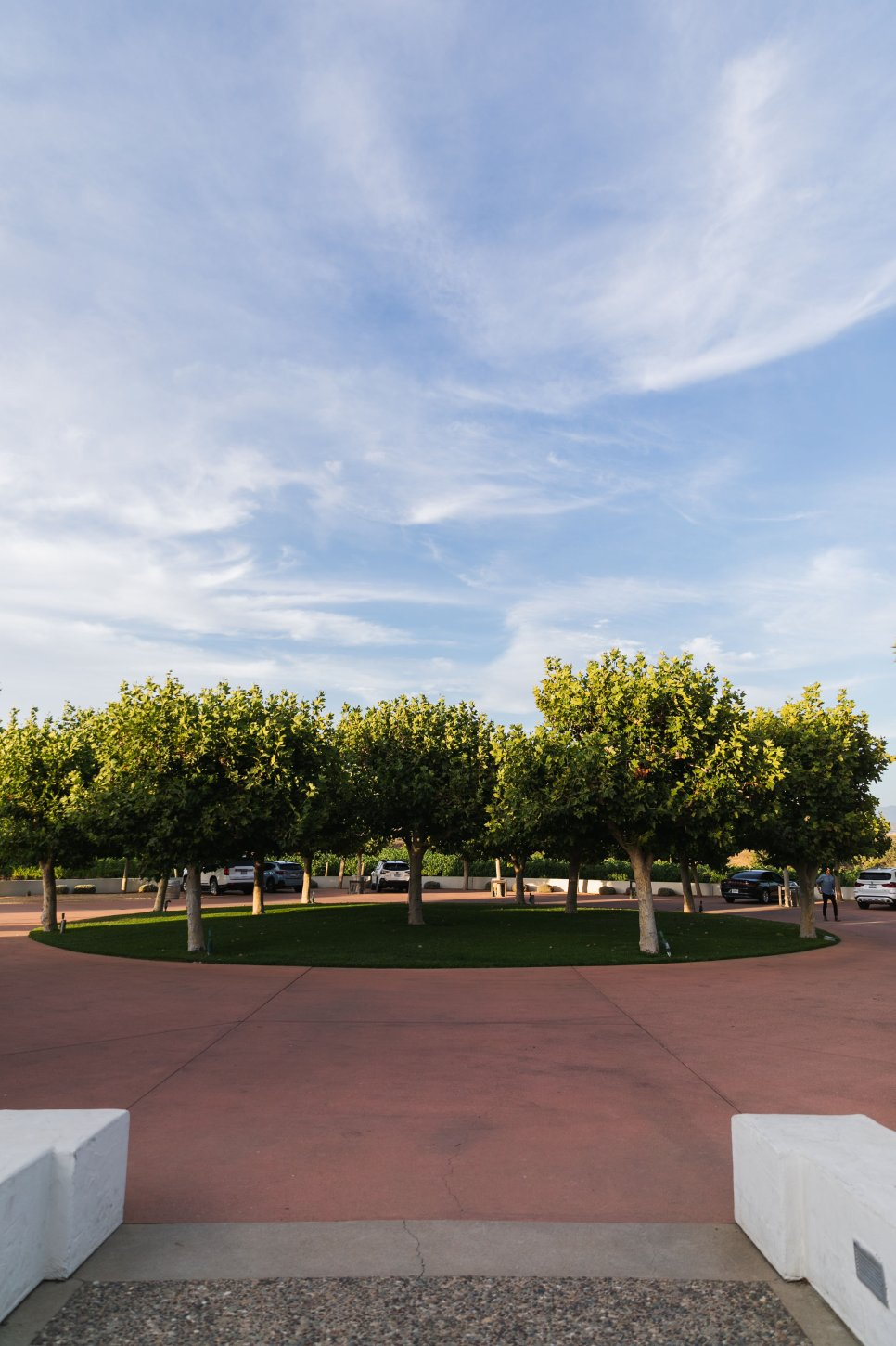 Gainey Estate Vineyard