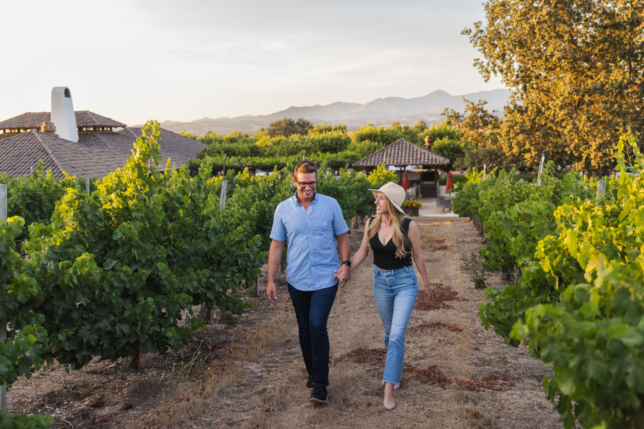 Gainey Estate Vineyard