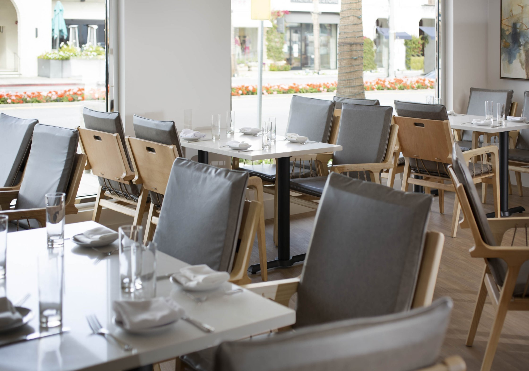 Shorebird Palm Desert