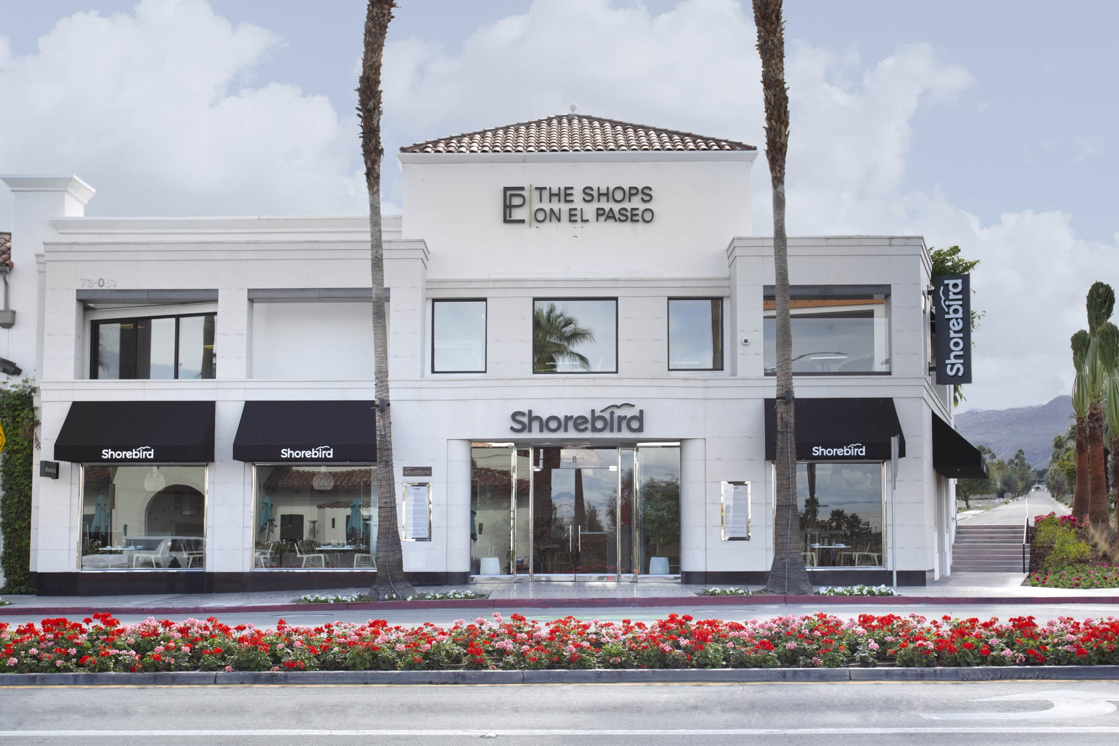 Shorebird Palm Desert