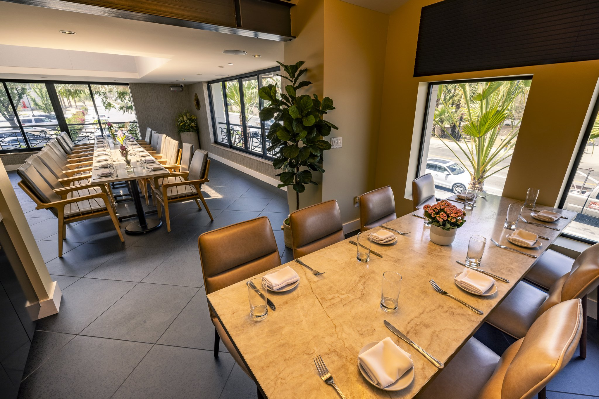 Shorebird Palm Desert