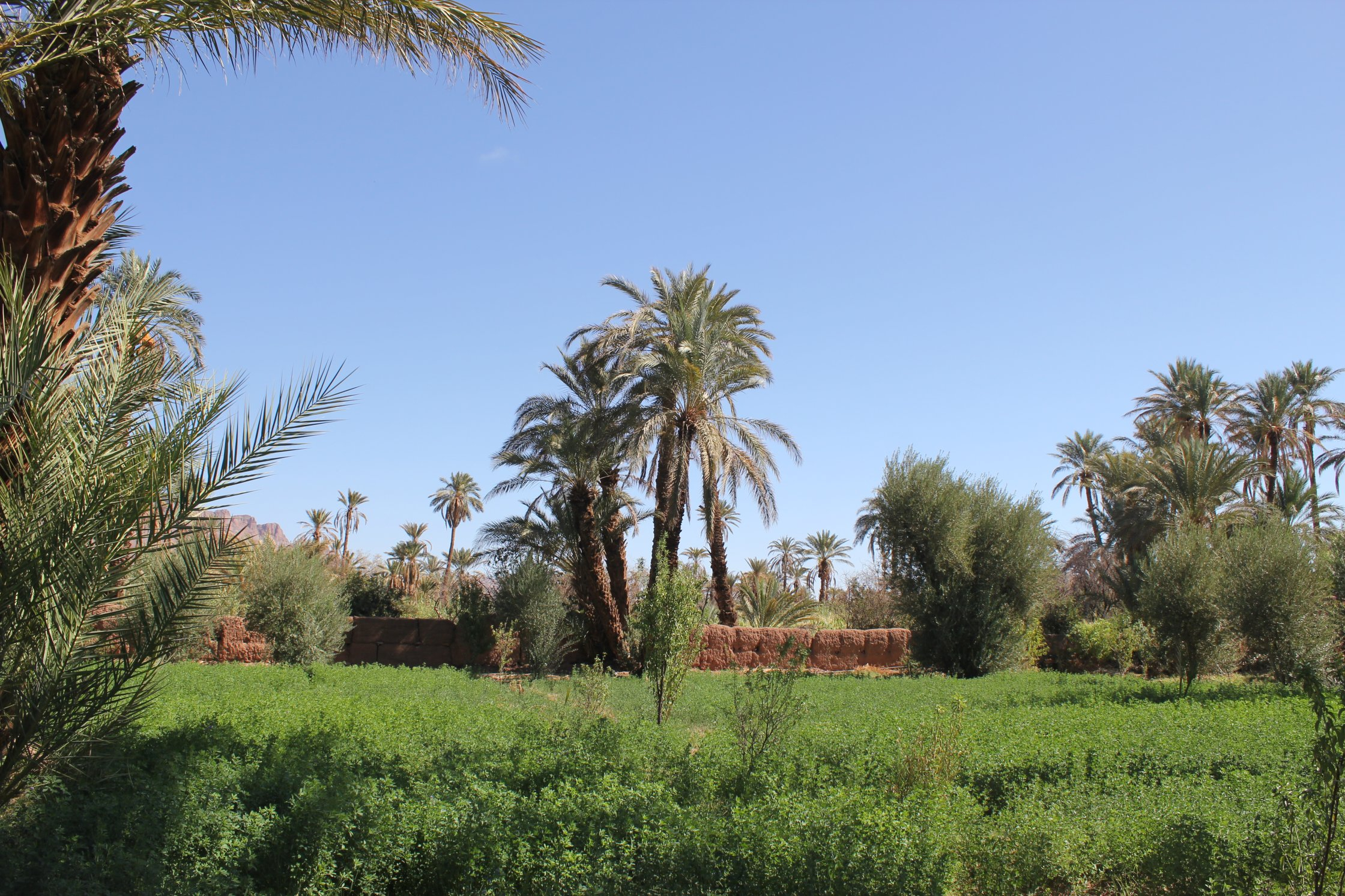 Kasbah Des Caids | Osun Collection