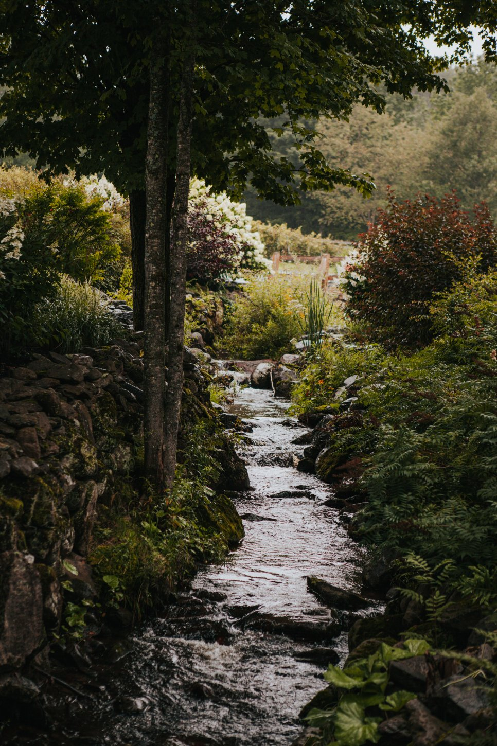 Le Ruisseau