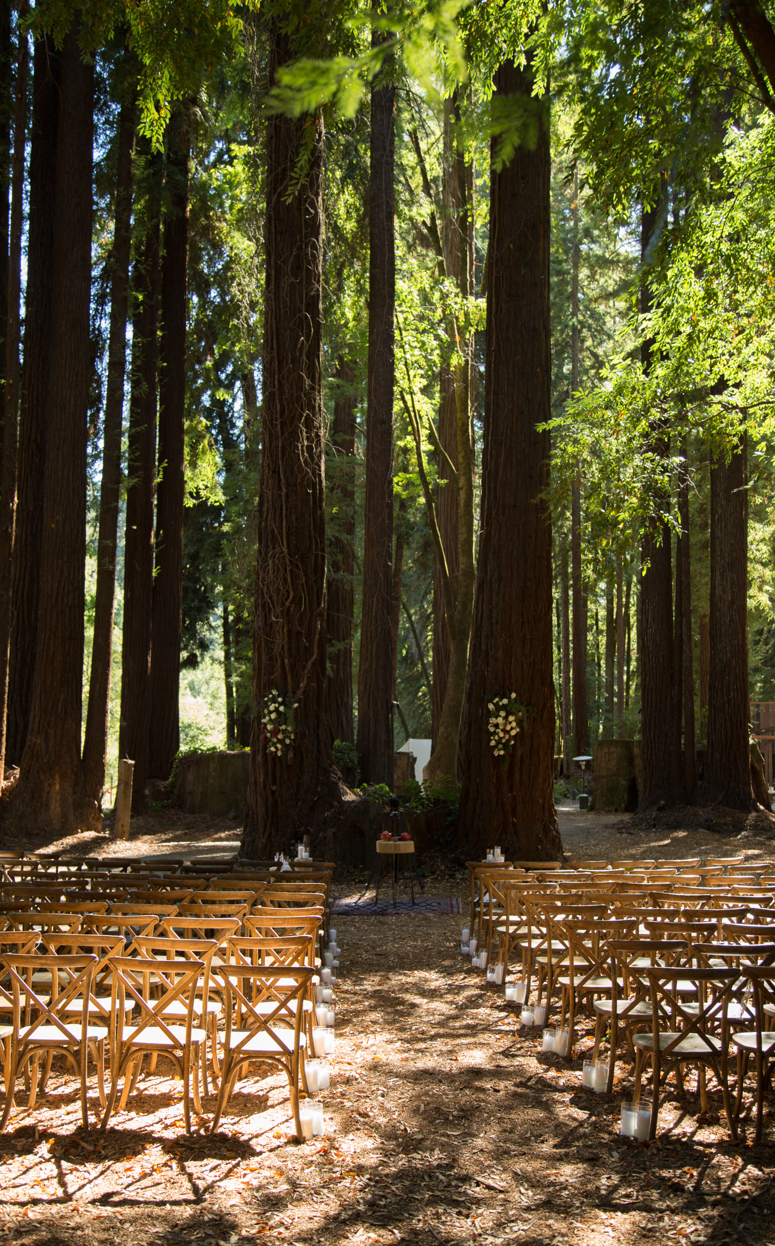 The Madrones & The Brambles