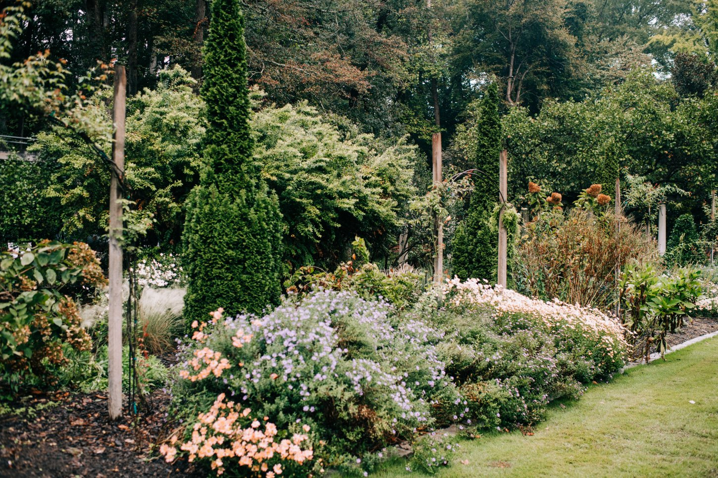 Cator Woolford Gardens