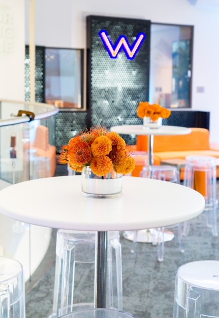 MOXI, The Wolf Museum of Exploration + Innovation