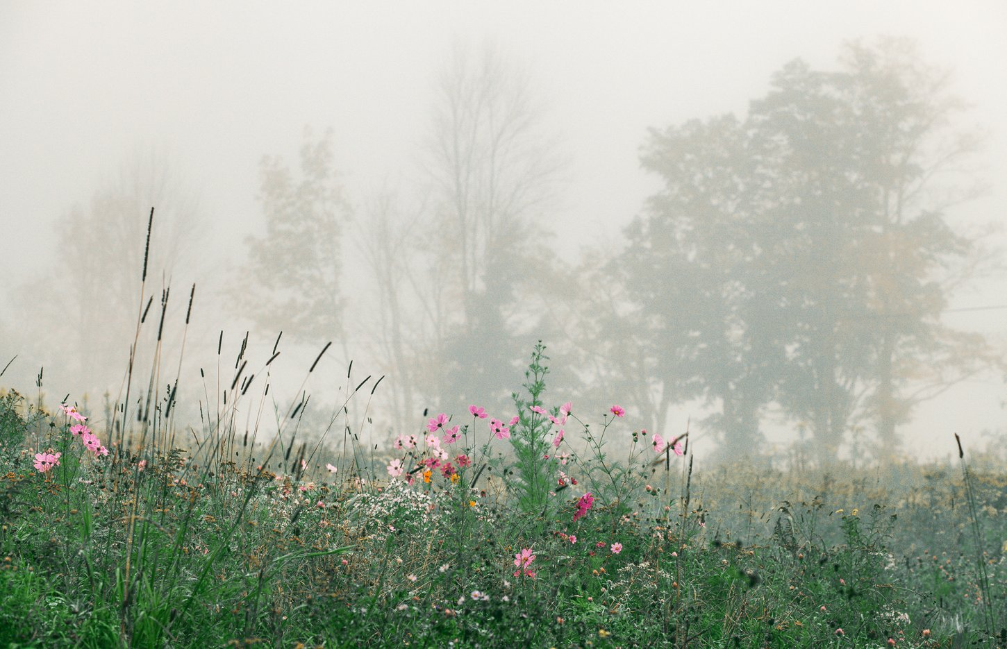 Bellfire in the Catskills