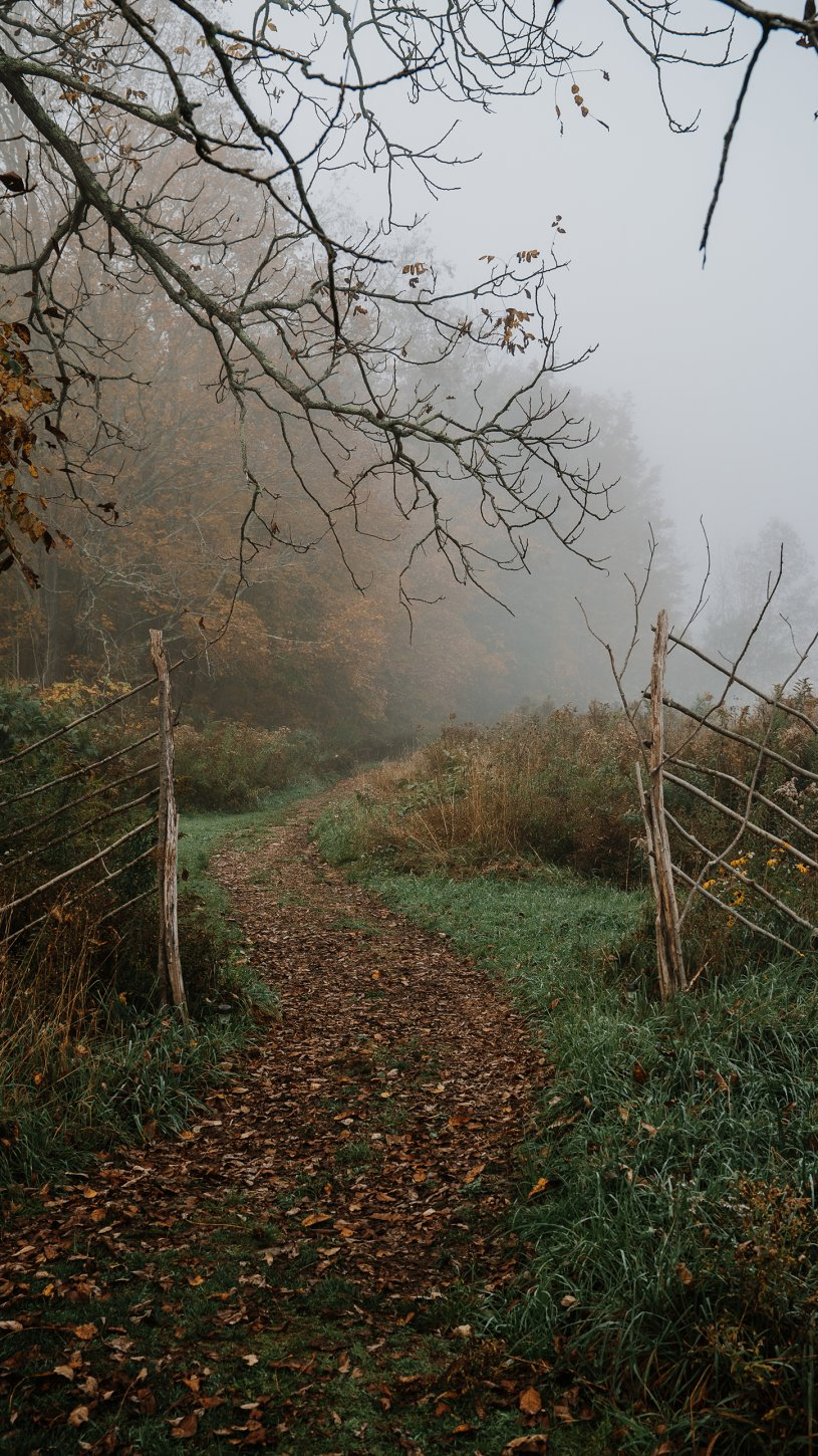 Bellfire in the Catskills