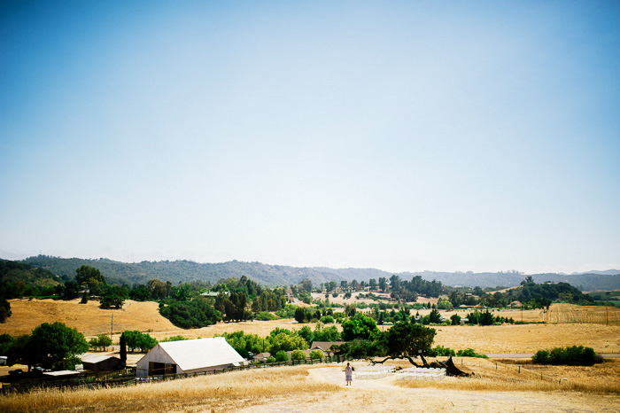 pic-from-hill Spreafico Farms