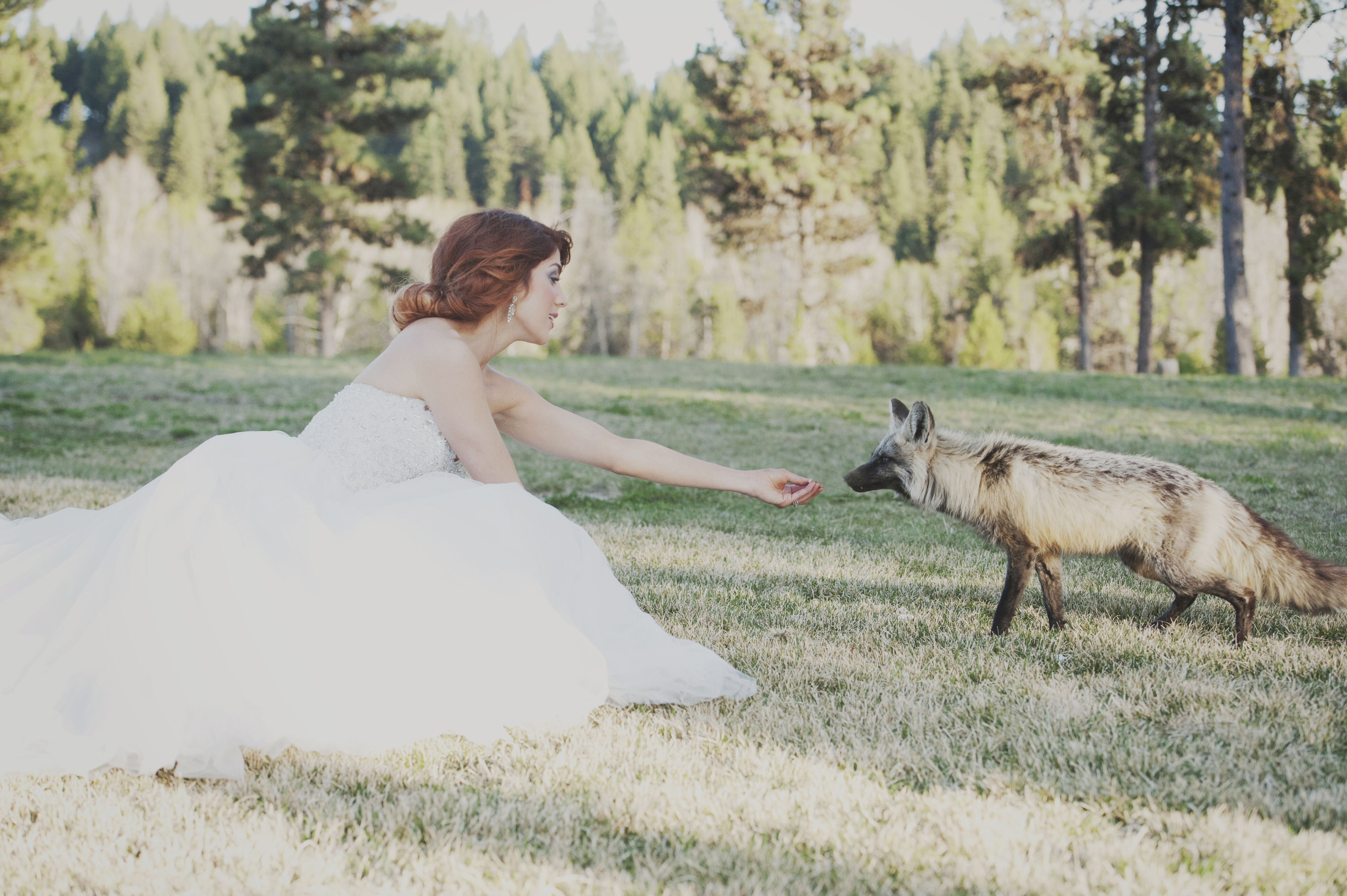 Blackhawk on the River