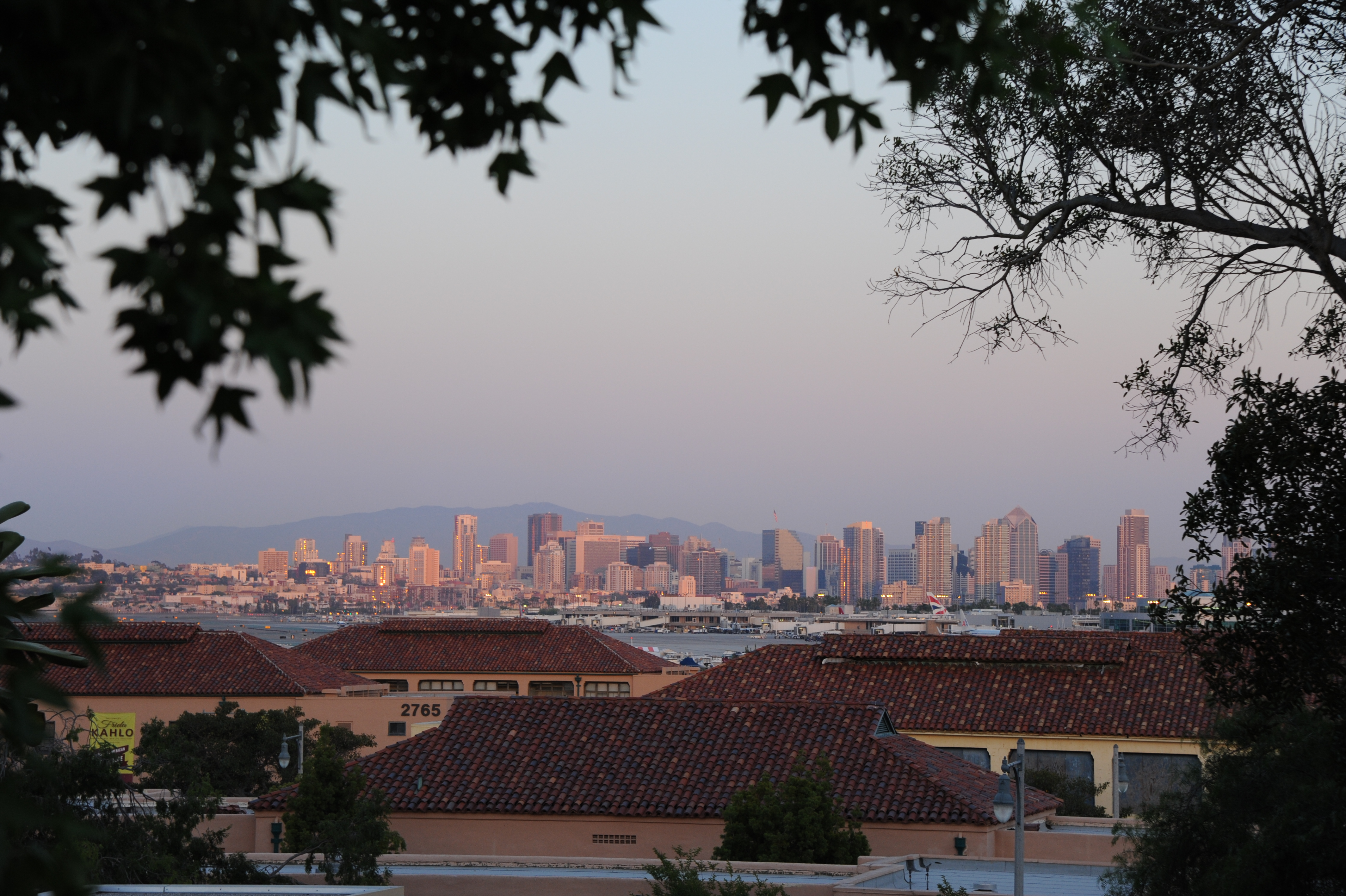 Scout4 Scout at Quarters D