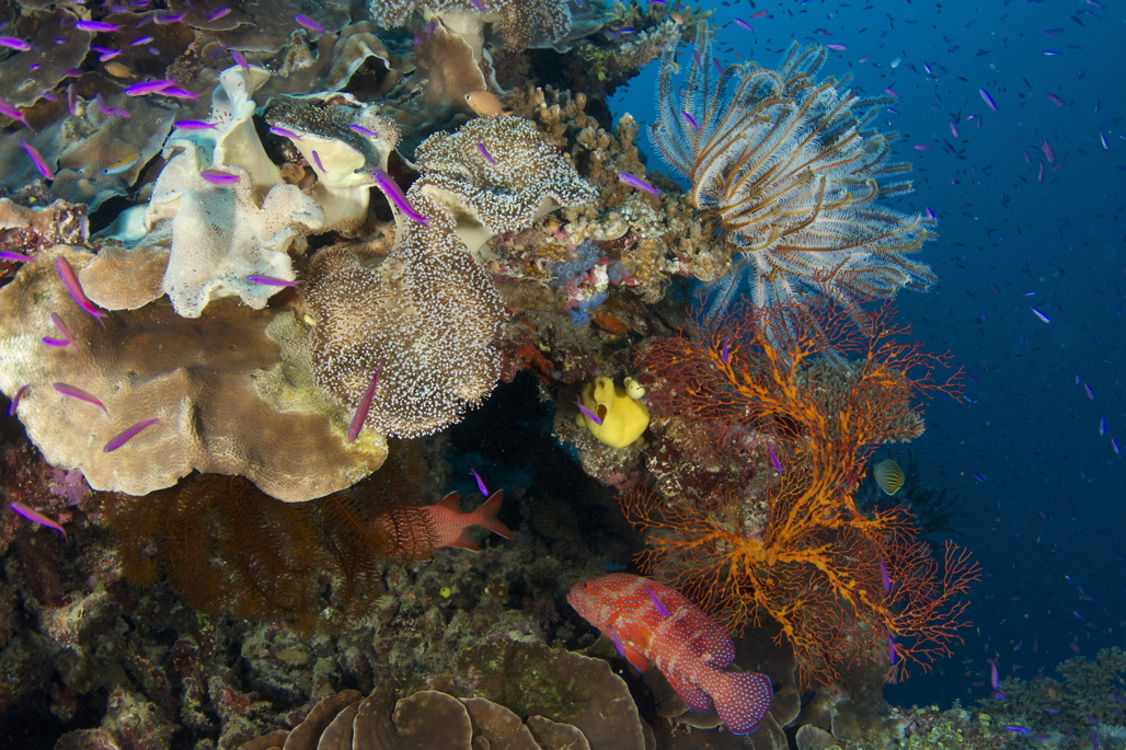 12 The Wakaya Club & Spa