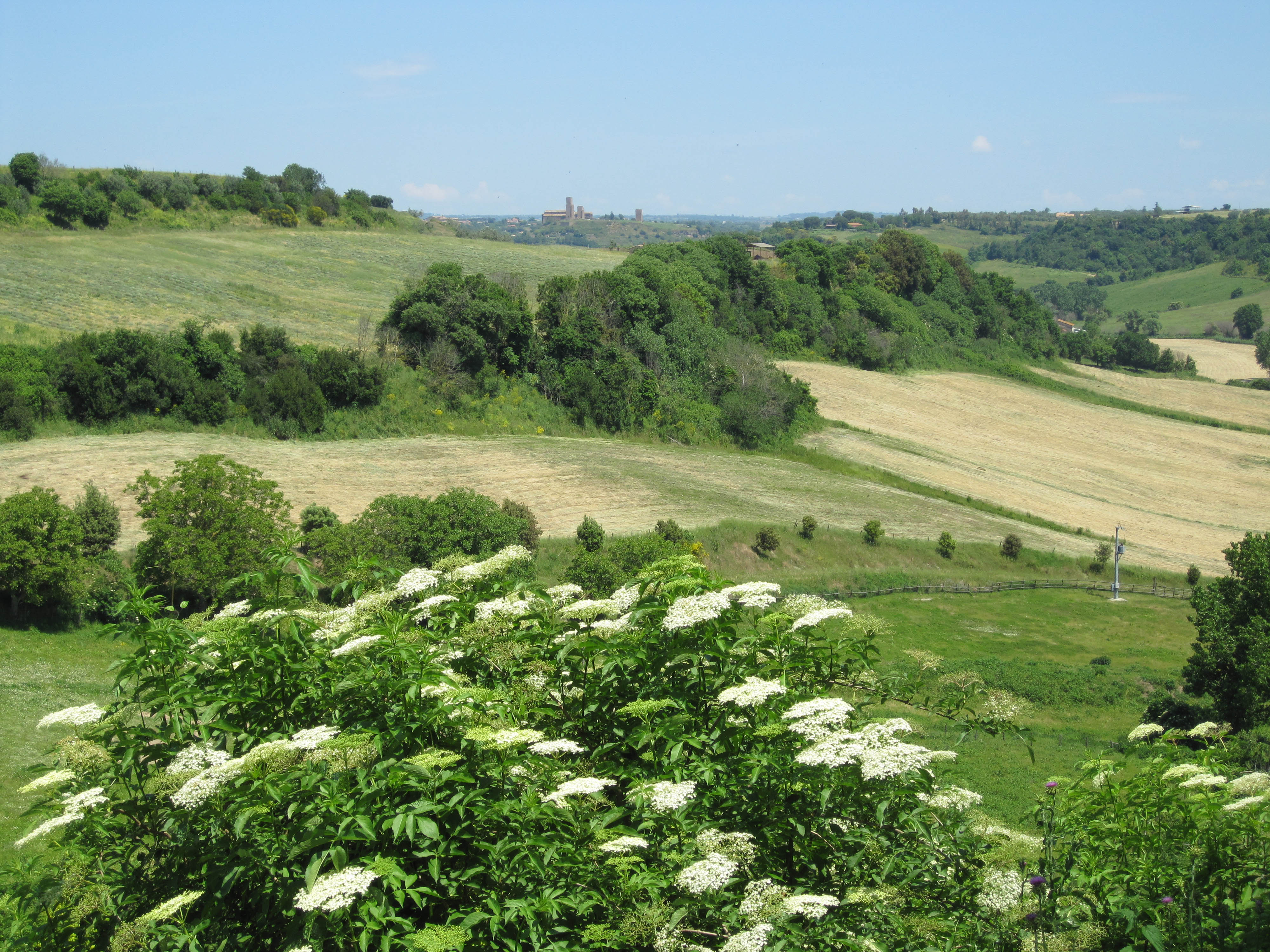 IMG_4432 Abbazia di San Giusto