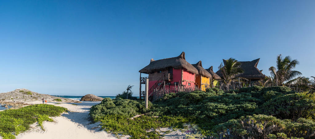 El Pez at Turtle Cove