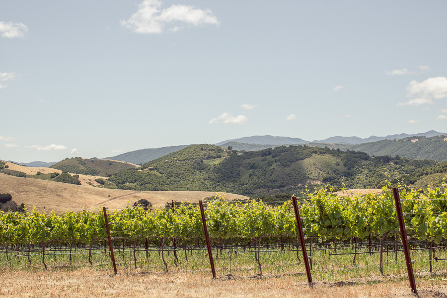 Northern-California-Ranch-Venue- Holman Ranch Vineyards & Winery