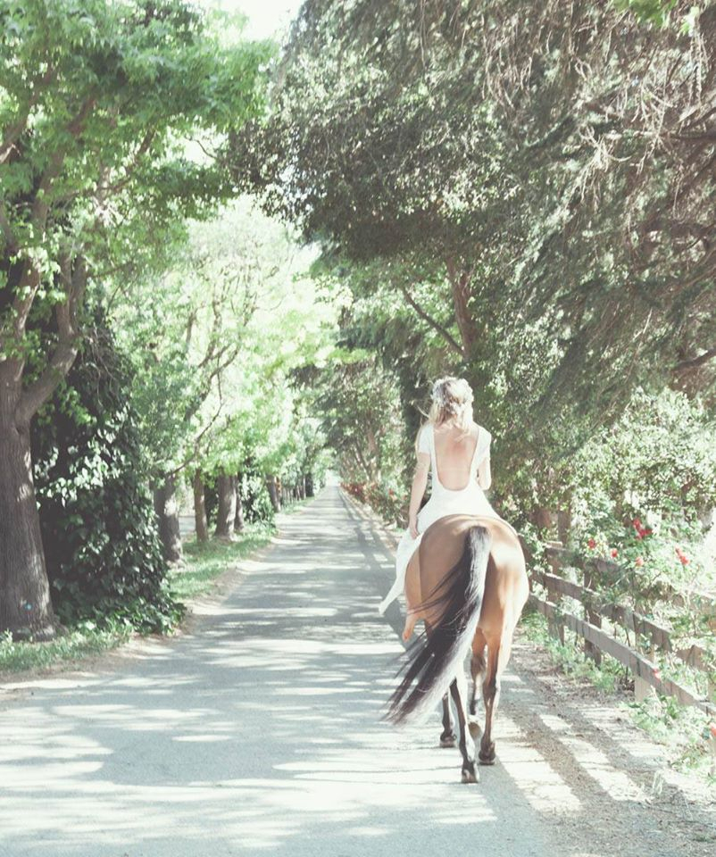 Rustic_Ranch_Wedding_Venue_California Whispering Rose Ranch