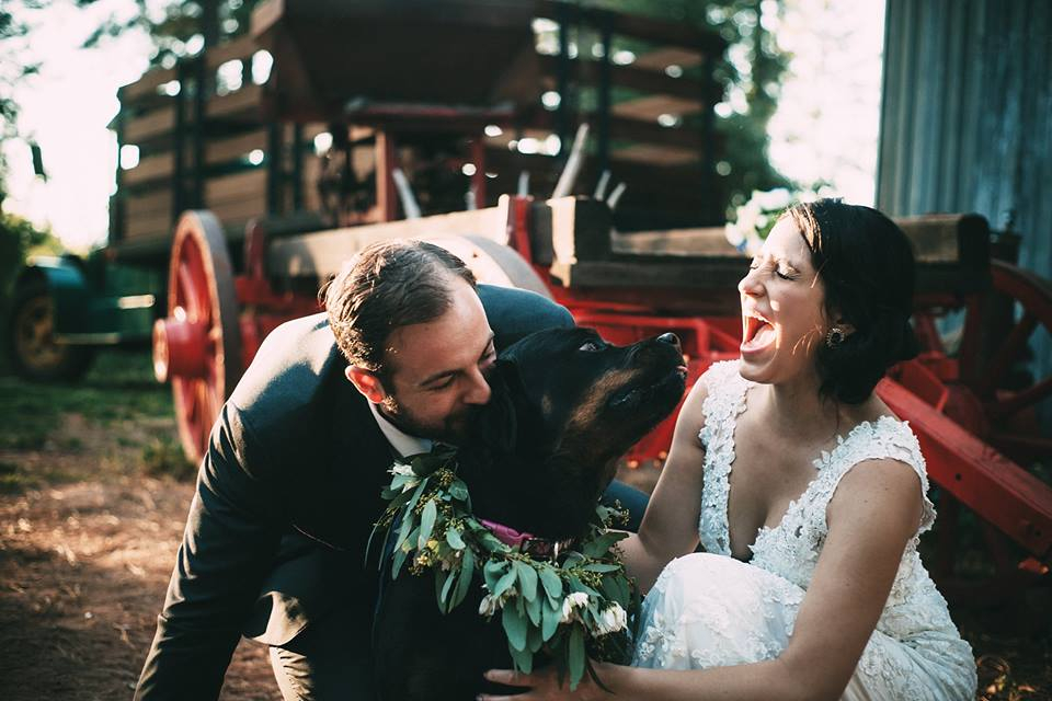 california-vineyard Brice Station Vineyard