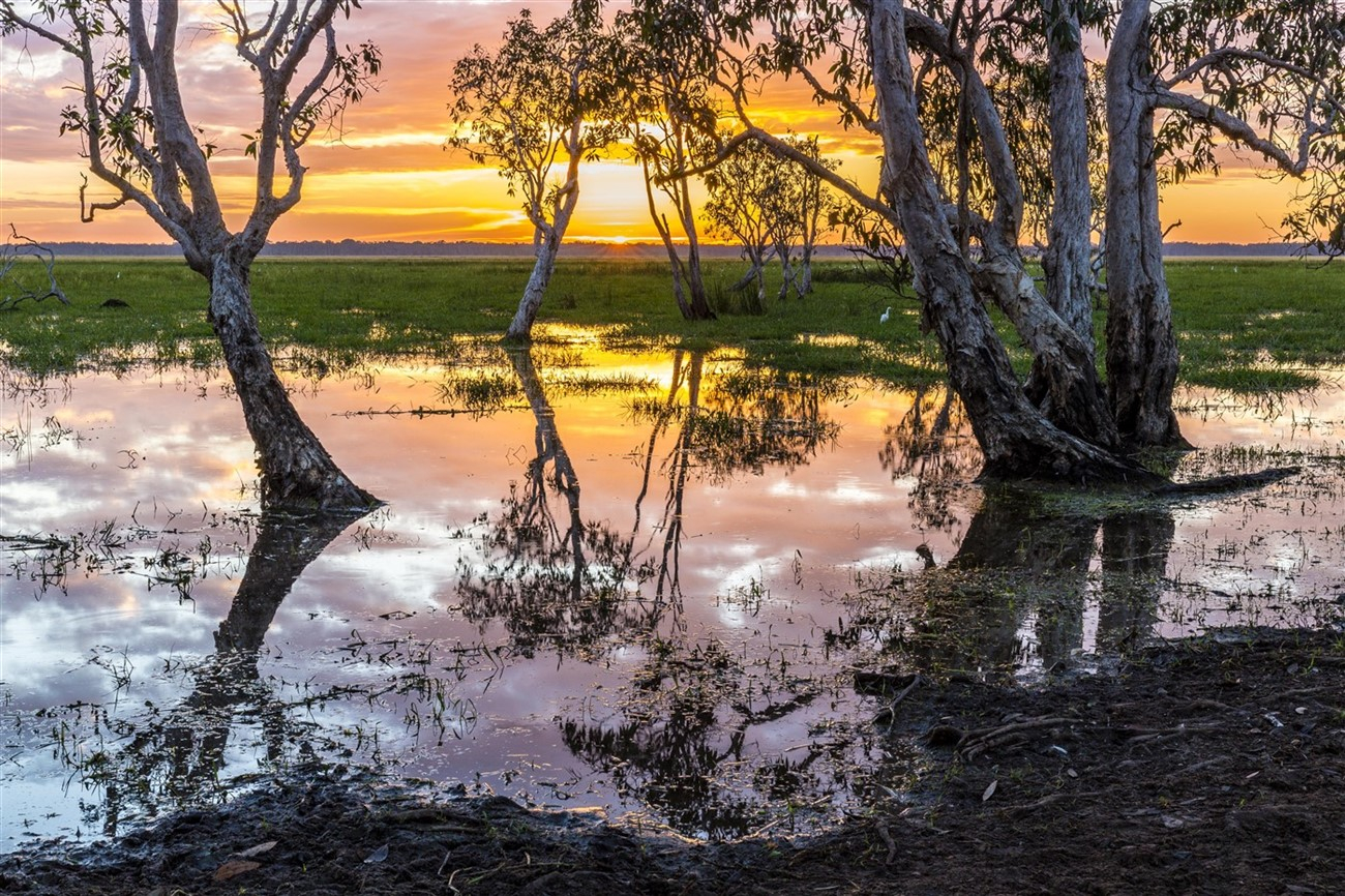 K3A0674-1300-x-866 Bamurru Plains