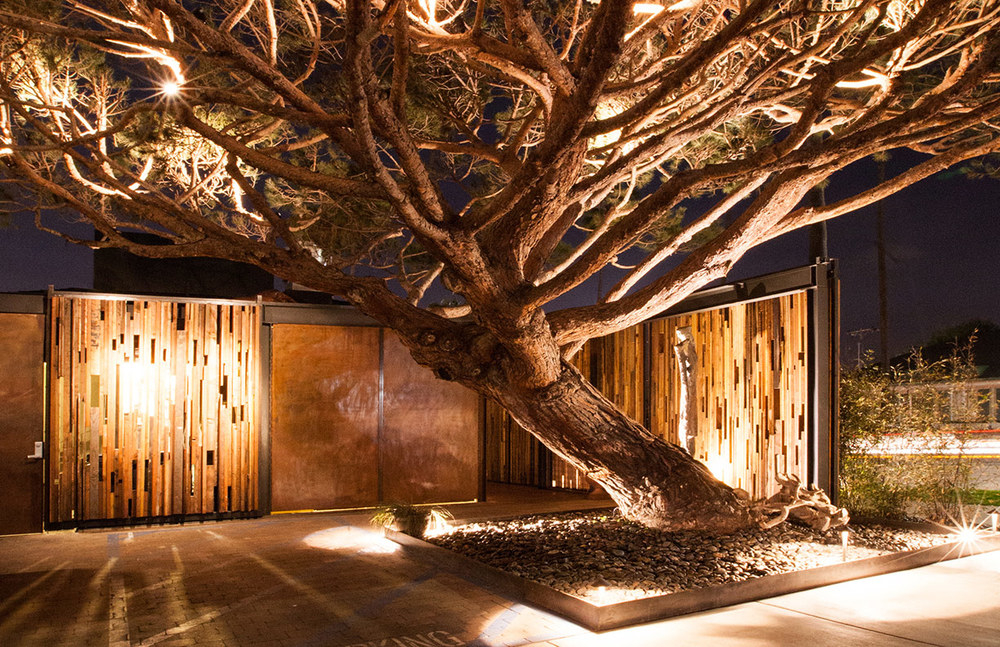 Back The Patio on Lamont Street