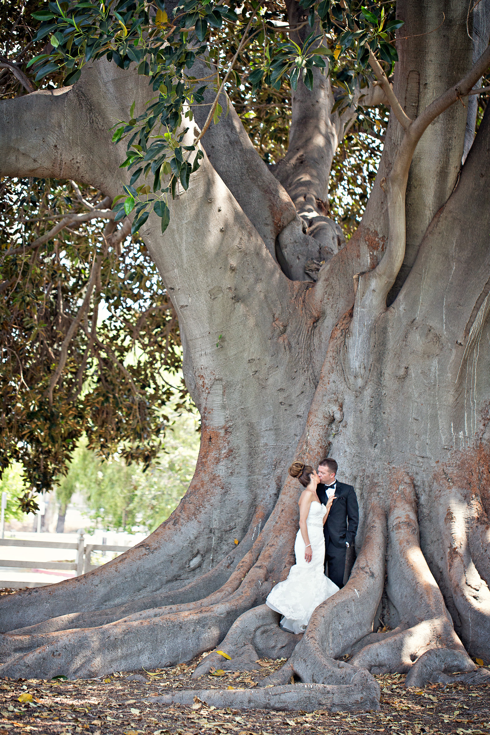 0369 Camarillo Ranch