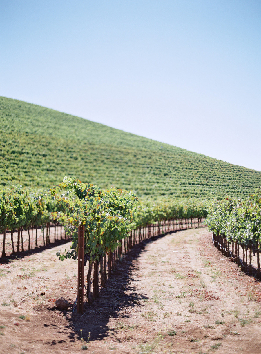 rustic-winery-wedding-venue Kunde Family Winery