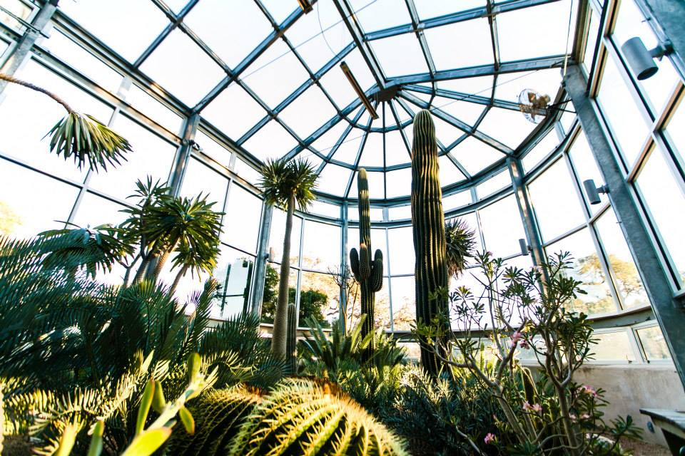 Greenhouse-Texas-Rustic-Event-Venue-4 The Greenhouse at Driftwood