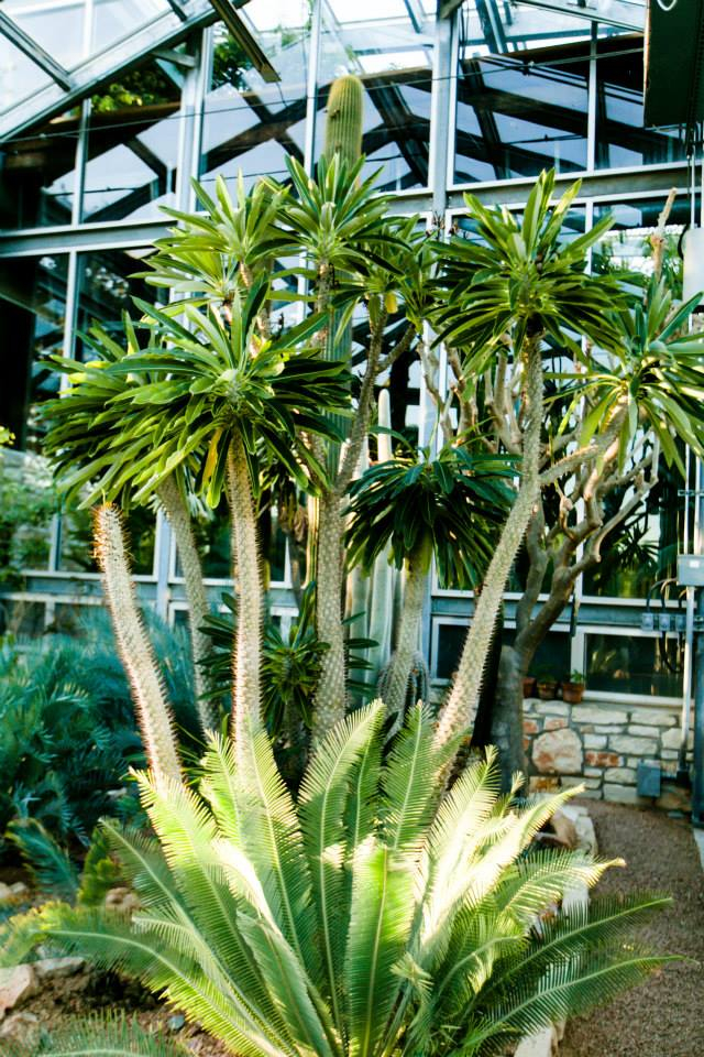 Greenhouse-Texas-Wedding-Venue-5 The Greenhouse at Driftwood