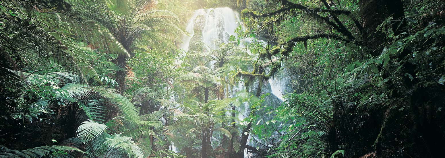 Treetops Lodge and Estate