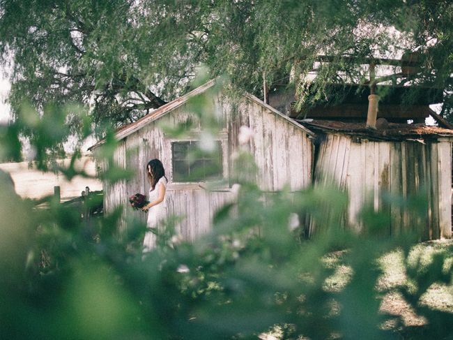 flying-caballos-wedding Flying Caballos Guest Ranch