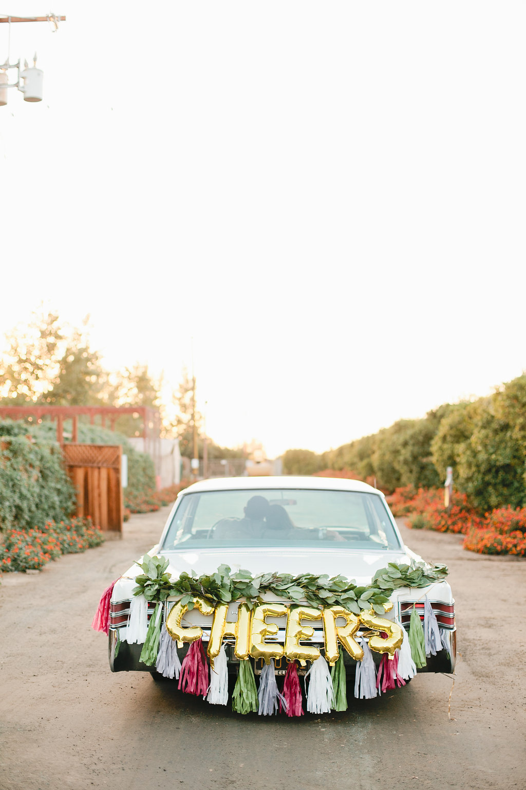 Historic Seven Sycamores