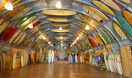 BirdsSurfShed Bird's Surf Shed