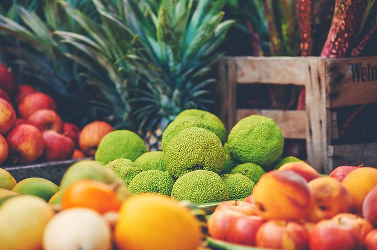 3d2ace7425caadac1f098214fce2129c The Boathouse Palm Beach