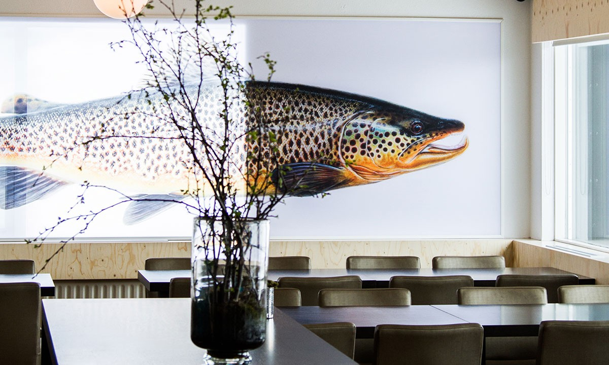 6-1200x720 ION Luxury Adventure Hotel