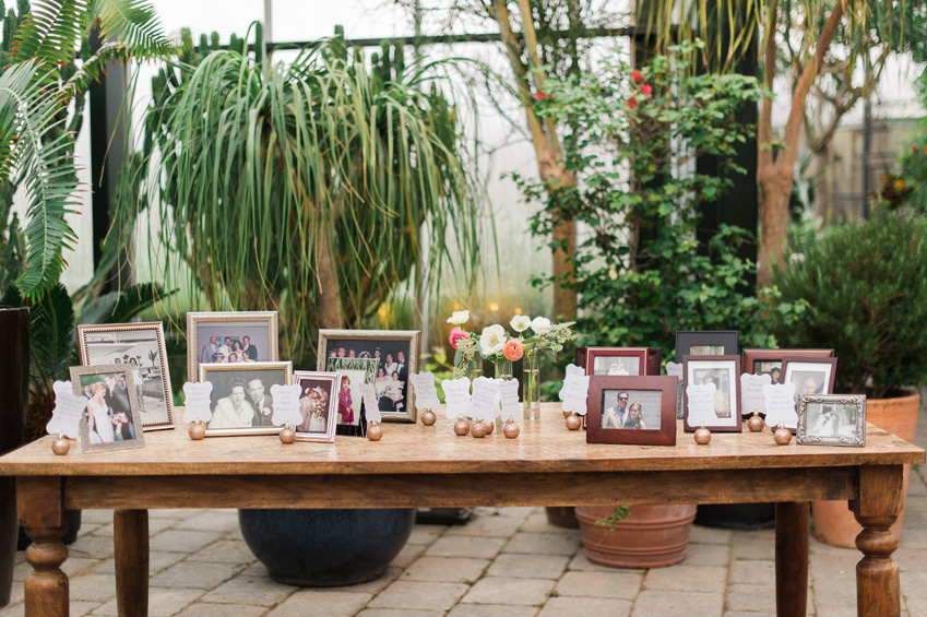 Detroit_Michigan_wedding_photographer_33 Planterra Conservatory