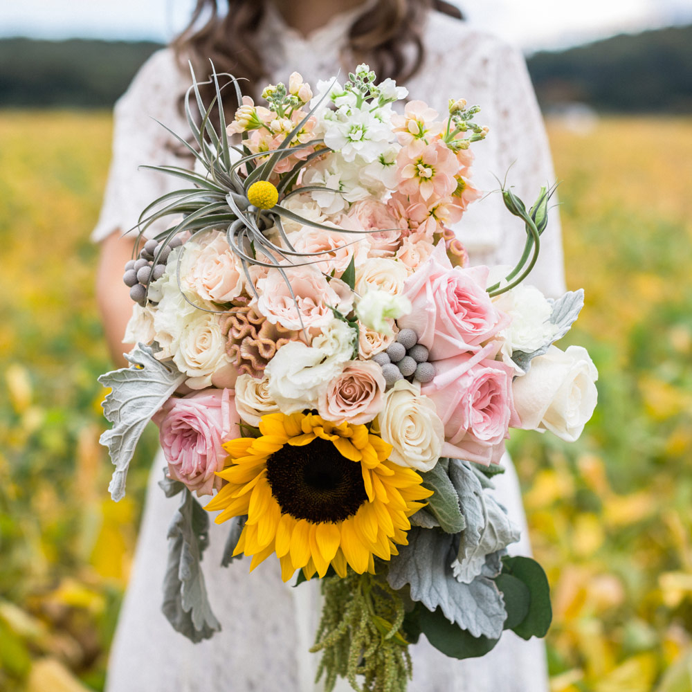 Hermitage-Hills-Farm-7 Hermitage Hill Farm and Stables