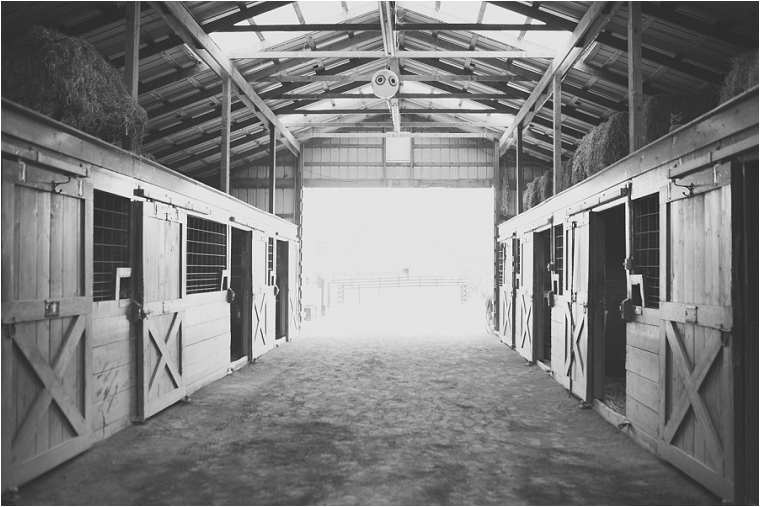 Hermitage-Hills-Farm-and-Stables-Wedding-Photographer-Staunton-wedding-photographer-Farm-wedding-photographer-057 Hermitage Hill Farm and Stables