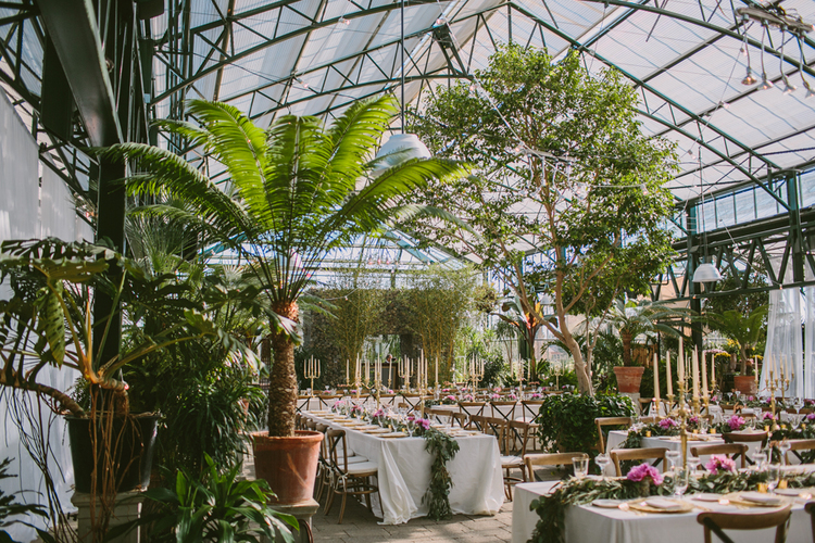 michigan-wedding-venue Planterra Conservatory