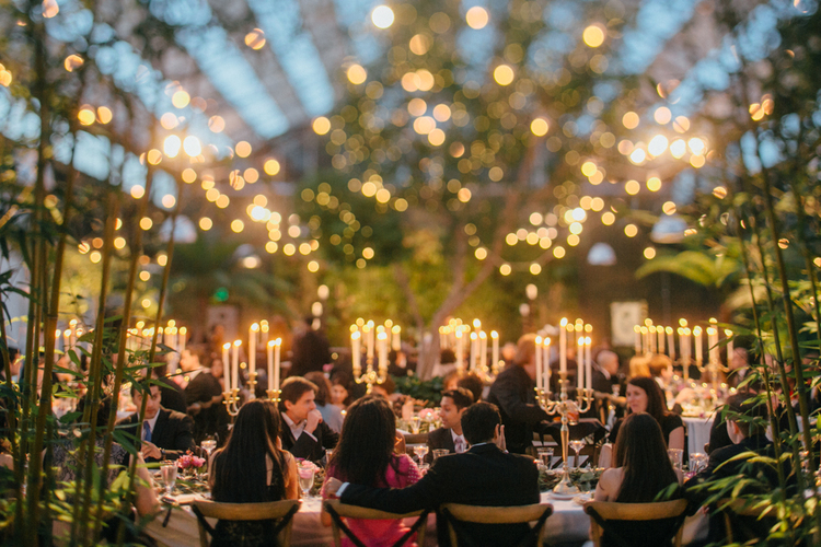 michigan-wedding Planterra Conservatory