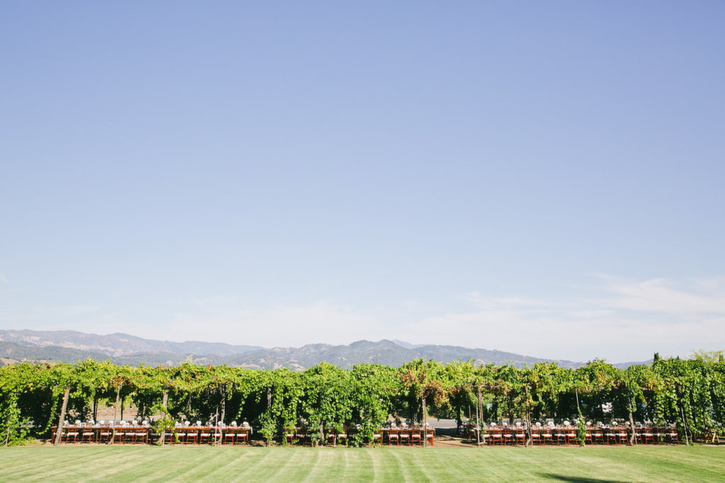 092014lk-1071 Trentadue Winery