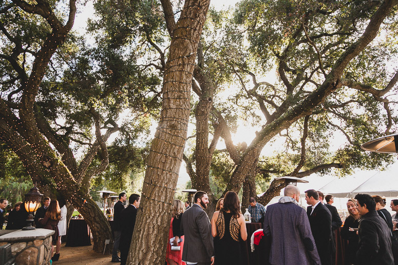 Giracci Vineyards and Farms