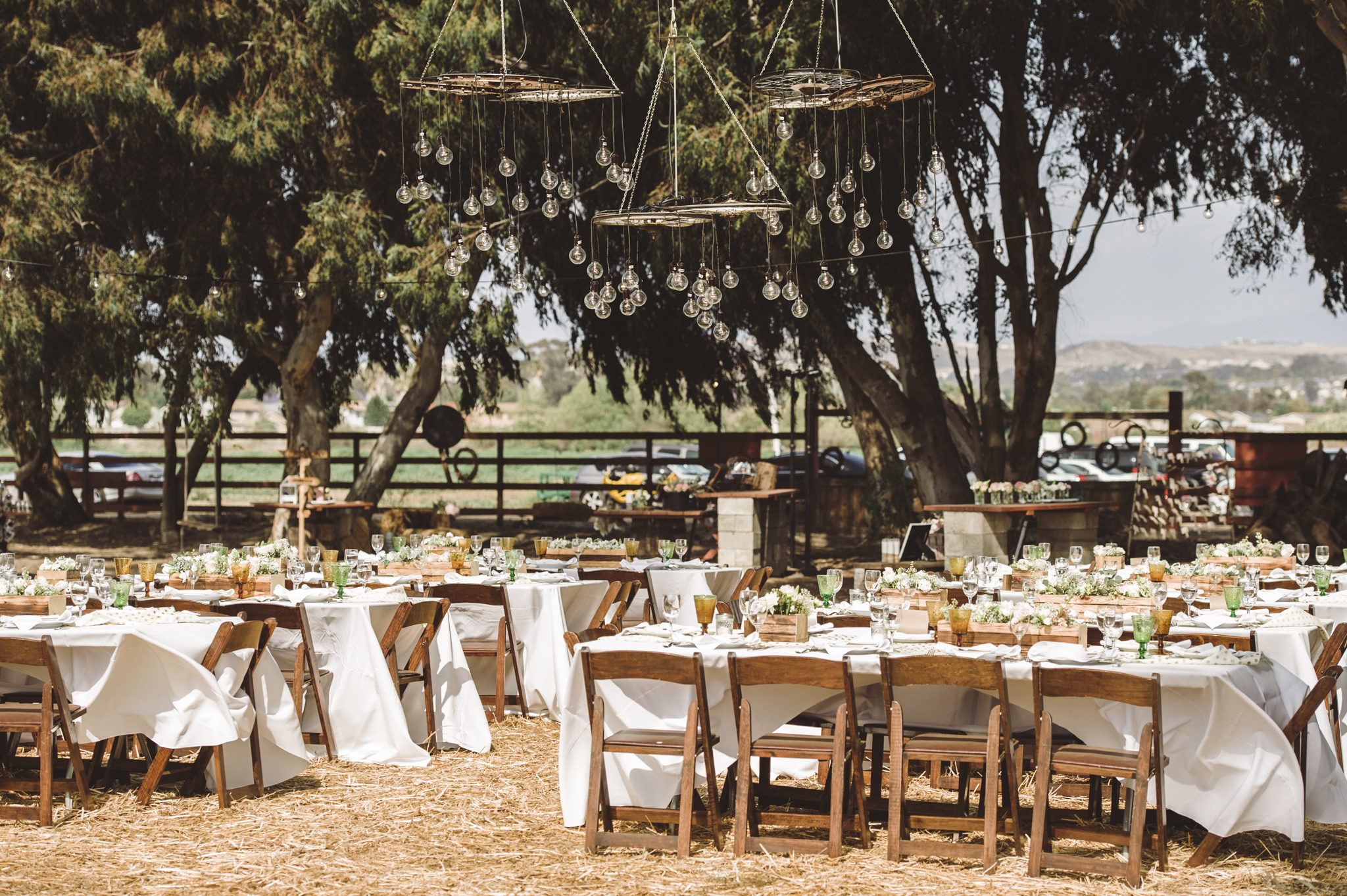 The Grove at Suzie's Farm