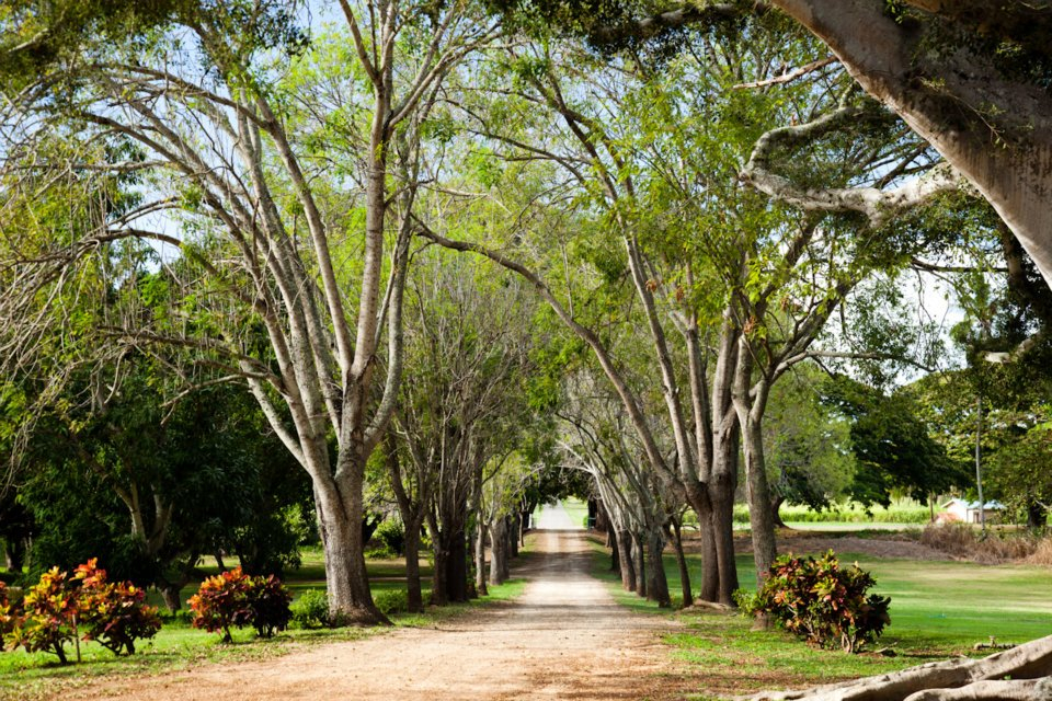 298738_259860374047454_127293245_n Dillingham Ranch