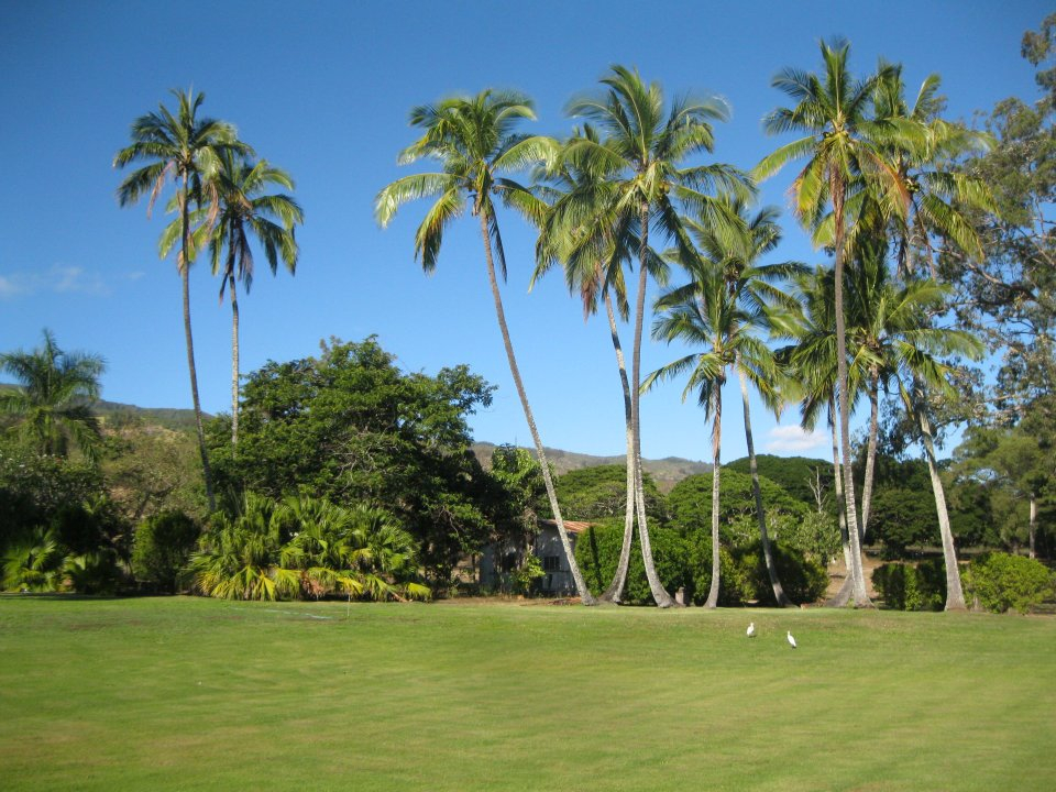 310303_259856920714466_1963195319_n Dillingham Ranch