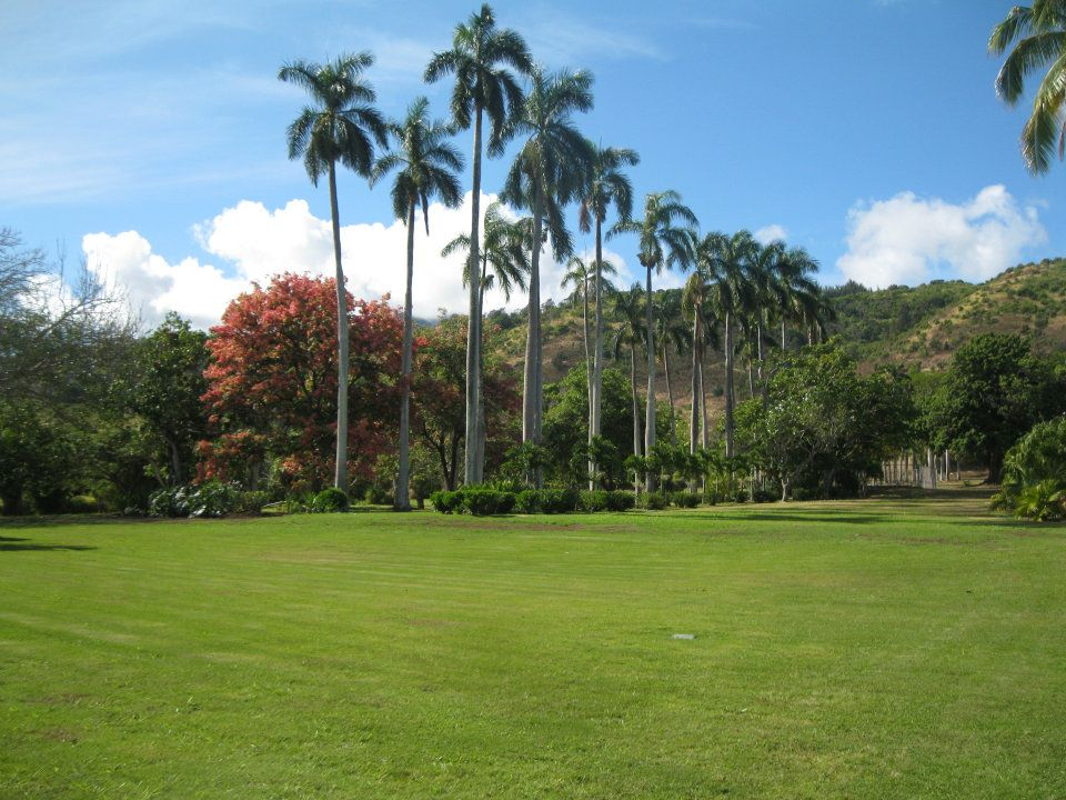 316663_259857657381059_1956819643_n Dillingham Ranch