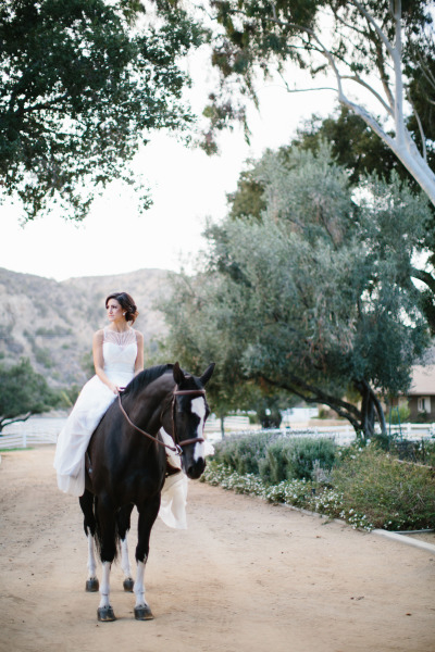 Giracci Vineyards and Farms