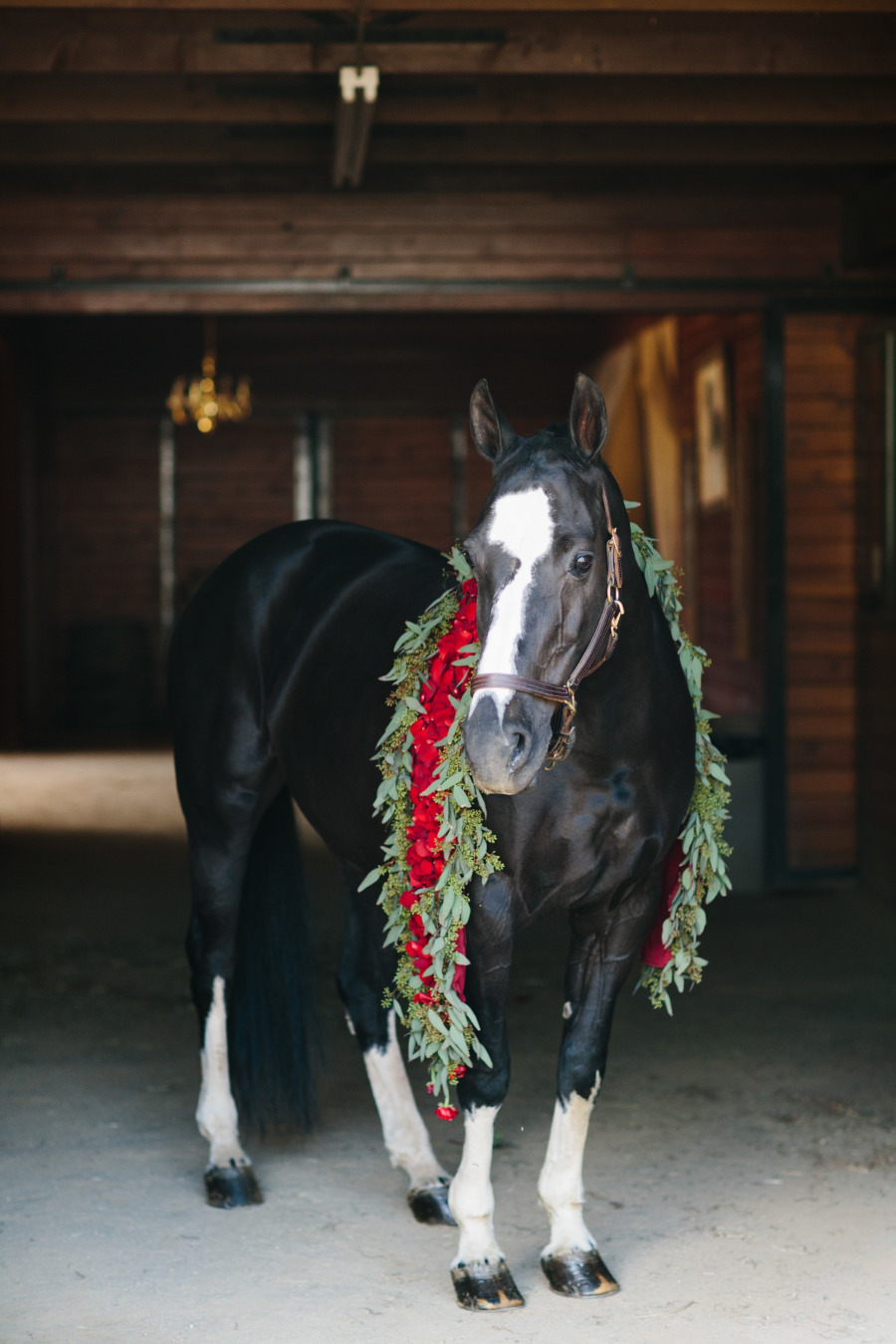 Giracci Vineyards and Farms