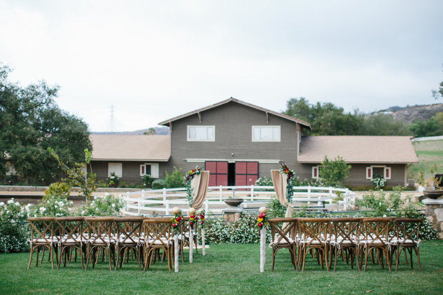 Giracci Vineyards and Farms