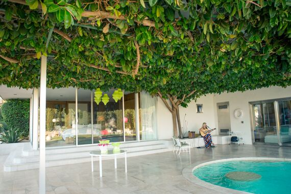 Frederick Loewe Estate