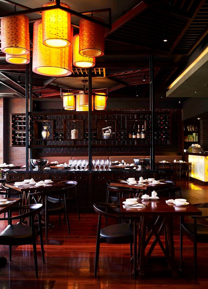 10382613_10152917376423288_2228066039392293761_o-w5kcHa The Cullen