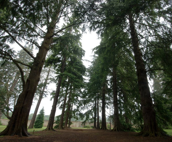 227429_183596815026510_795587_n Scone Palace